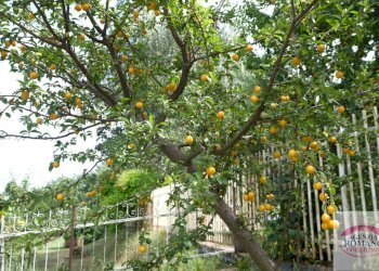 Rif 1363(Copy46).jpg - Villa Villaggio Mongorello 191, Ponzone - foto 7