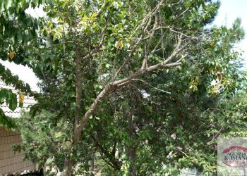 Rif 1363(Copy49).jpg - Villa Villaggio Mongorello 191, Ponzone - foto 8