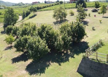 Rustico Cossano Belbo - foto 12