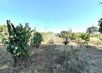 Villa Str. Strada Grande, Novi Ligure - photo 8
