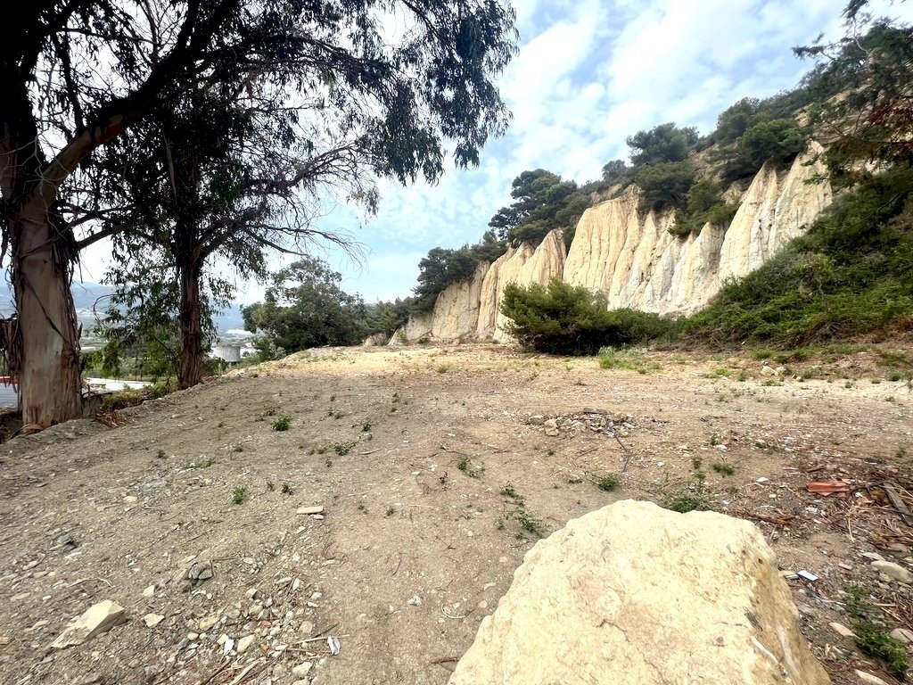 IMG_4494-001.jpg - Terreno agricolo Strada Bussana Vecchia 49/a, Sanremo - foto 2