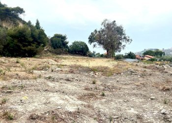 IMG_4495-001.jpg - Terreno agricolo Strada Bussana Vecchia 49/a, Sanremo - foto 3