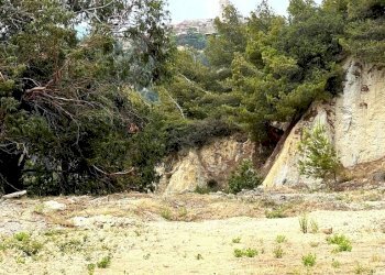 IMG_4498-001.jpg - Terreno agricolo Strada Bussana Vecchia 49/a, Sanremo - foto 4