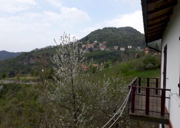 20180428_151751.jpg - Apartment Via Busalla, Crocefieschi - photo 11