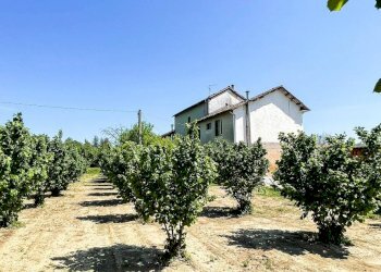 Casa indipendente Asti - foto 4