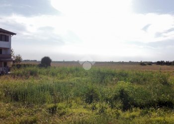 Terreno edificabile Via L. Landi, Cadelbosco di Sopra - foto 6