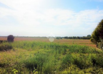 Terreno edificabile Via L. Landi, Cadelbosco di Sopra - foto 5
