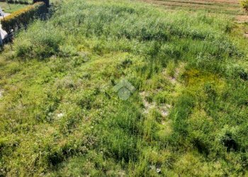 Terreno edificabile Via L. Landi, Cadelbosco di Sopra - foto 9