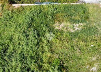 Terreno edificabile Via L. Landi, Cadelbosco di Sopra - foto 11