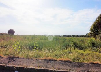 Terreno edificabile Via L. Landi, Cadelbosco di Sopra - foto 16