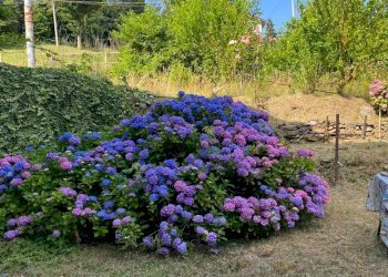 IMG-20230709-WA0011.jpg - Appartamento Via Faiallo 53, Urbe - foto 6