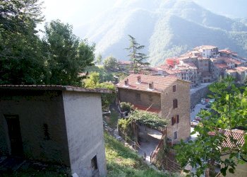 FOTO 2005 078.jpg - Porzione di casa Stazzema - foto 8