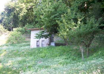 FOTO 2005 077.jpg - Porzione di casa Stazzema - foto 9