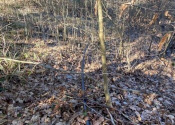 IMG-20240219-WA0088.jpg - Casale Via Case Sparse Badia 19A, Tiglieto - foto 23