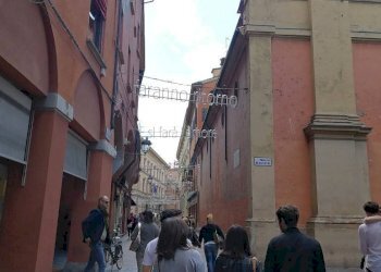 Negozio Bologna - foto 4