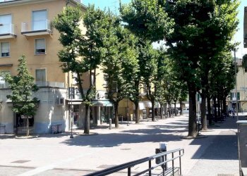Negozio Casalecchio di Reno - foto 3