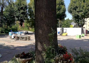 Negozio Casalecchio di Reno - foto 6