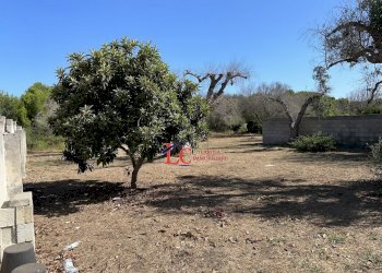 9.JPG - Villa Via Puglia 8, Melendugno - foto 10