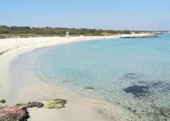 MORA MORA +LOGO.jpg - Villa Via Puglia 8, Melendugno - foto 26