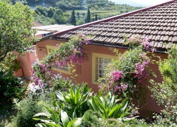 112226532.jpg - Casa indipendente Chiavari - foto 14
