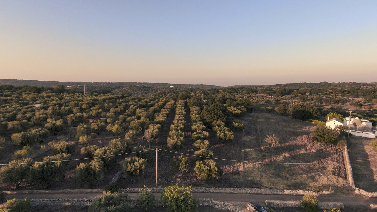 1.JPG - Terreno edificabile Contrada Difesa San Salvatore 8, Ostuni - foto 1