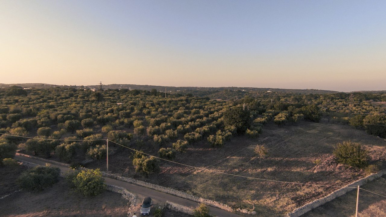 2.JPG - Terreno edificabile Contrada Difesa San Salvatore 8, Ostuni - foto 2