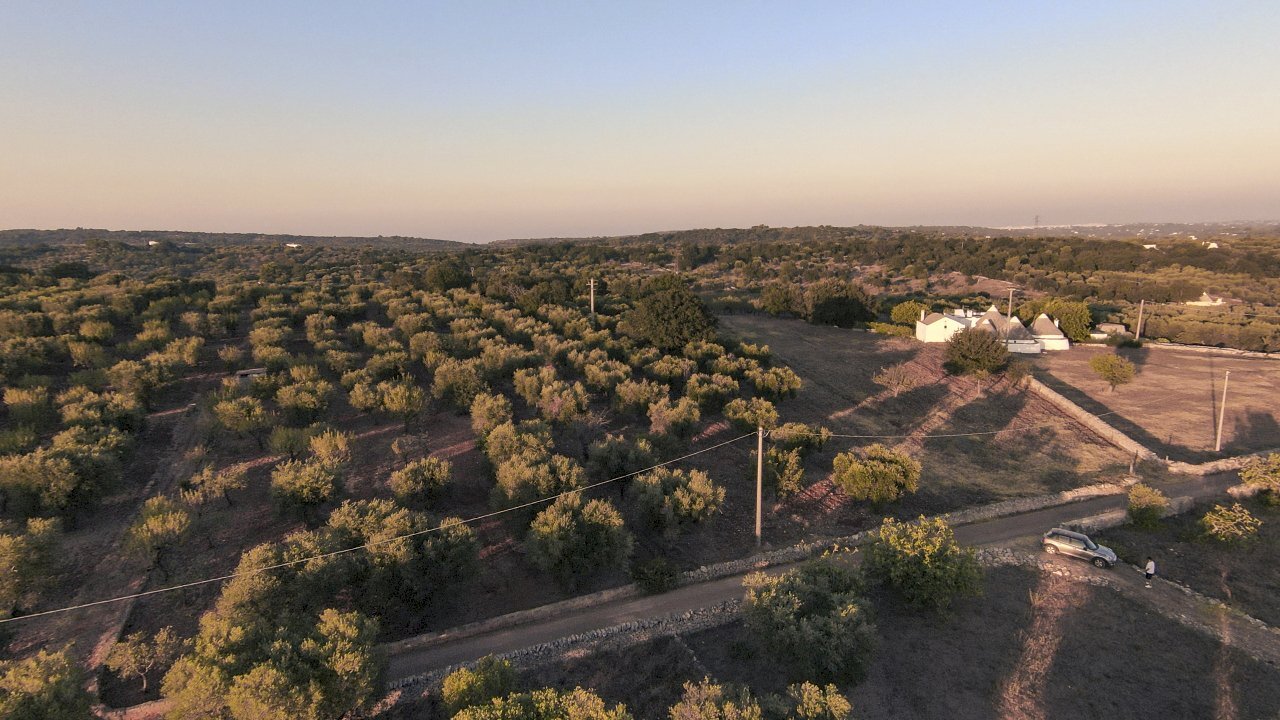 3.JPG - Terreno edificabile Contrada Difesa San Salvatore 8, Ostuni - foto 3