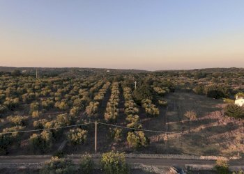 1.JPG - Terreno edificabile Contrada Difesa San Salvatore 8, Ostuni - foto 1