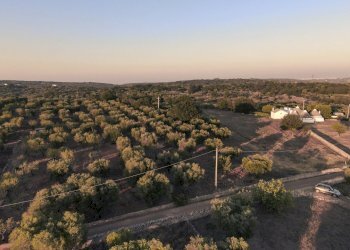 3.JPG - Terreno edificabile Contrada Difesa San Salvatore 8, Ostuni - foto 3