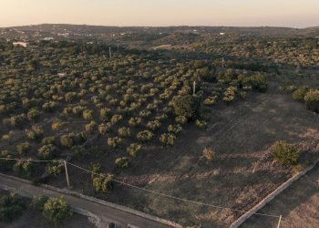 5.JPG - Terreno edificabile Contrada Difesa San Salvatore 8, Ostuni - foto 5