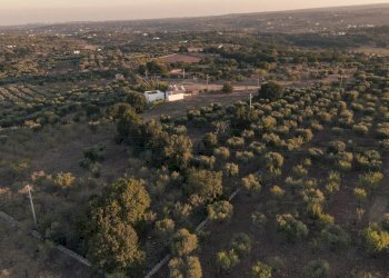 6.JPG - Terreno edificabile Contrada Difesa San Salvatore 8, Ostuni - foto 6