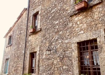 360136781_9644571978948973_5448717939885861349_n.j - Terratetto - Terracielo Stazzema - foto 1