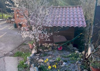 Villa Mignanego - foto 75