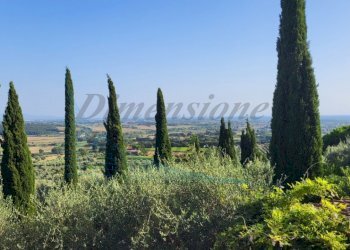 20230721_182934 (FILEminimizer).jpg - Terratetto - Terracielo Via E. de Nicola, Rosignano Marittimo - foto 1