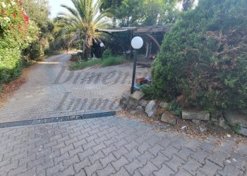 20230721_183412 (FILEminimizer).jpg - Terratetto - Terracielo Via E. de Nicola, Rosignano Marittimo - foto 26