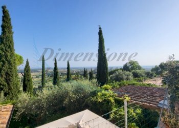 20230721_183004 (FILEminimizer).jpg - Terratetto - Terracielo Via E. de Nicola, Rosignano Marittimo - foto 27