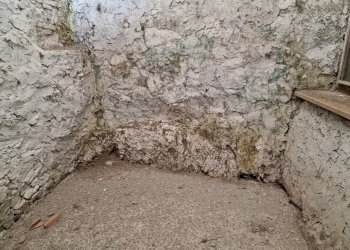 20230816_093908.jpg - Appartamento Via Duca degli Abruzzi 73, Lugnano in Teverina - foto 5