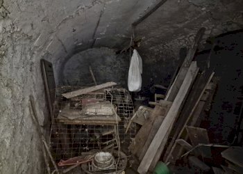 20230816_093912.jpg - Appartamento Via Duca degli Abruzzi 73, Lugnano in Teverina - foto 6