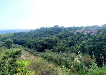 VILLA  CAMPAGNA ORVIETO (6).jpg - Villa Trifamiliare strada comunale di fossatello, Orvieto - foto 3