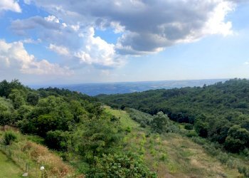 VILLA  CAMPAGNA ORVIETO (34).jpg - Villa Trifamiliare strada comunale di fossatello, Orvieto - foto 25