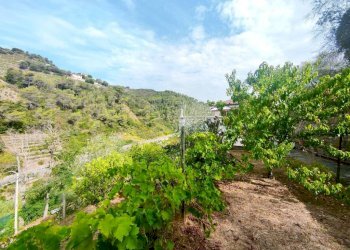 Terreno - Villa Località Orià, Soldano - foto 10