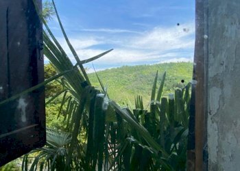 IMG-20230504-WA0003.jpg - Casa indipendente regione Catanzo, Visone - foto 7