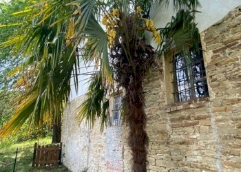 IMG-20230504-WA0029.jpg - Casa indipendente regione Catanzo, Visone - foto 8