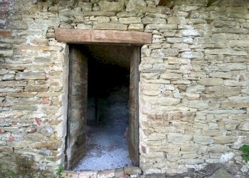 IMG-20230504-WA0017.jpg - Casa indipendente regione Catanzo, Visone - foto 18