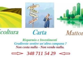 Vigneto La Morra - foto 4