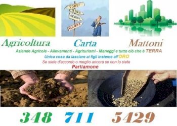 Agricultural land Acqui Terme - photo 4