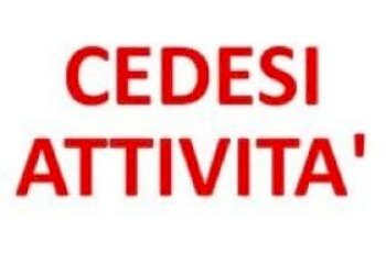 Tabaccheria Cervia - foto 1