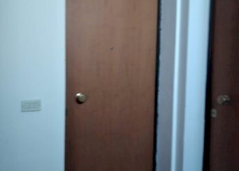 Apartment Carpineti - photo 15