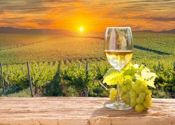 FOTO ESEMPLIFICATIVE - Azienda agricola SP21, Dolegna del Collio - foto 1