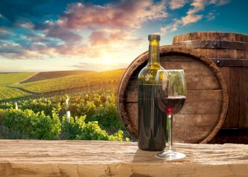 FOTO ESEMPLIFICATIVE - Azienda agricola SP21, Dolegna del Collio - foto 5